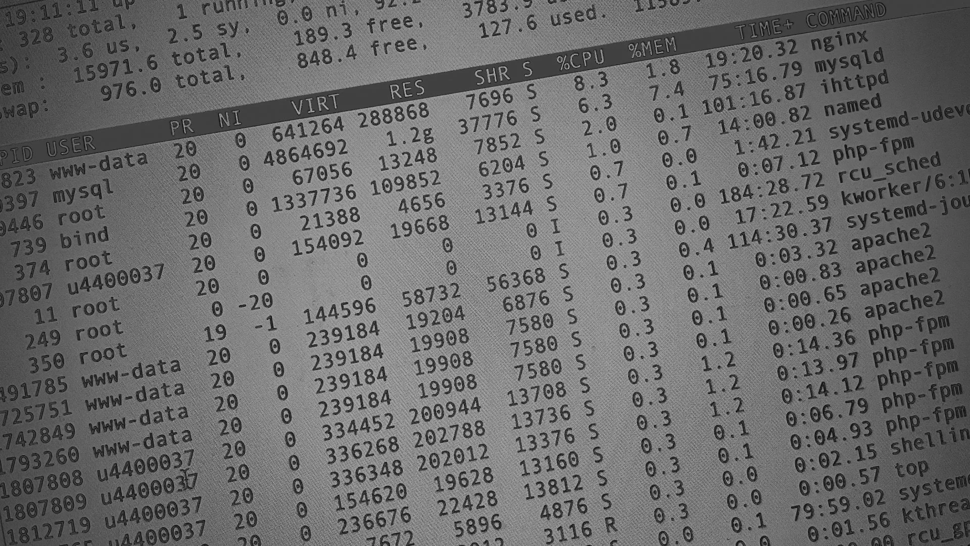 Настройка сервера в Губахе