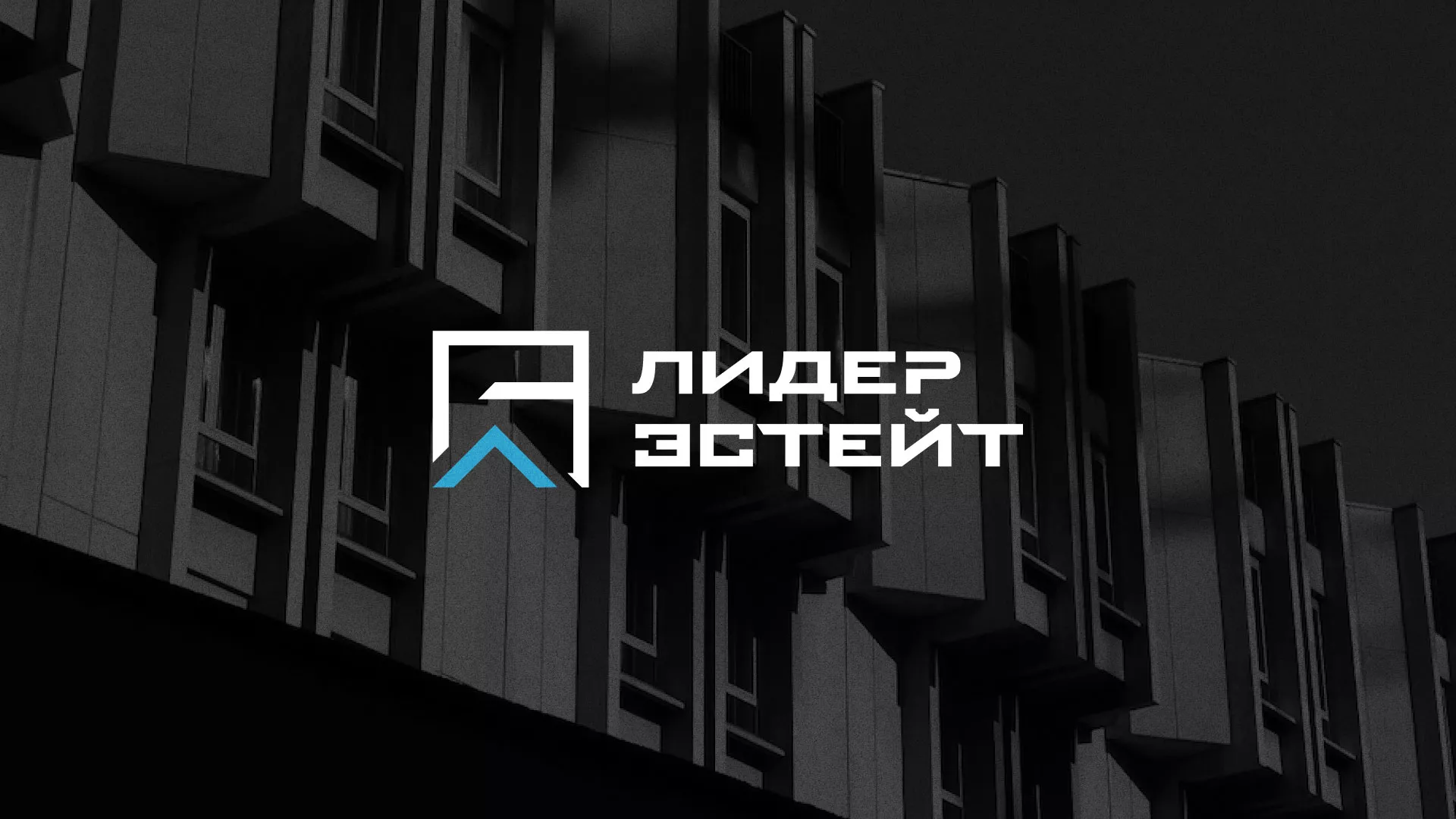 Разработка логотипа агентства недвижимости «Лидер Эстейт» в Губахе